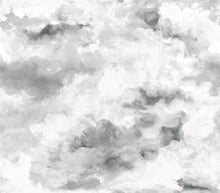 Load image into Gallery viewer, Scott Living Nimbus Peel and Stick Mural
