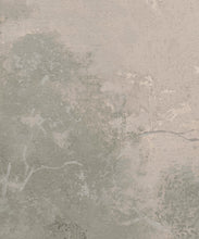 Load image into Gallery viewer, Valewood Mural - Colourway: Limestone - Close Up