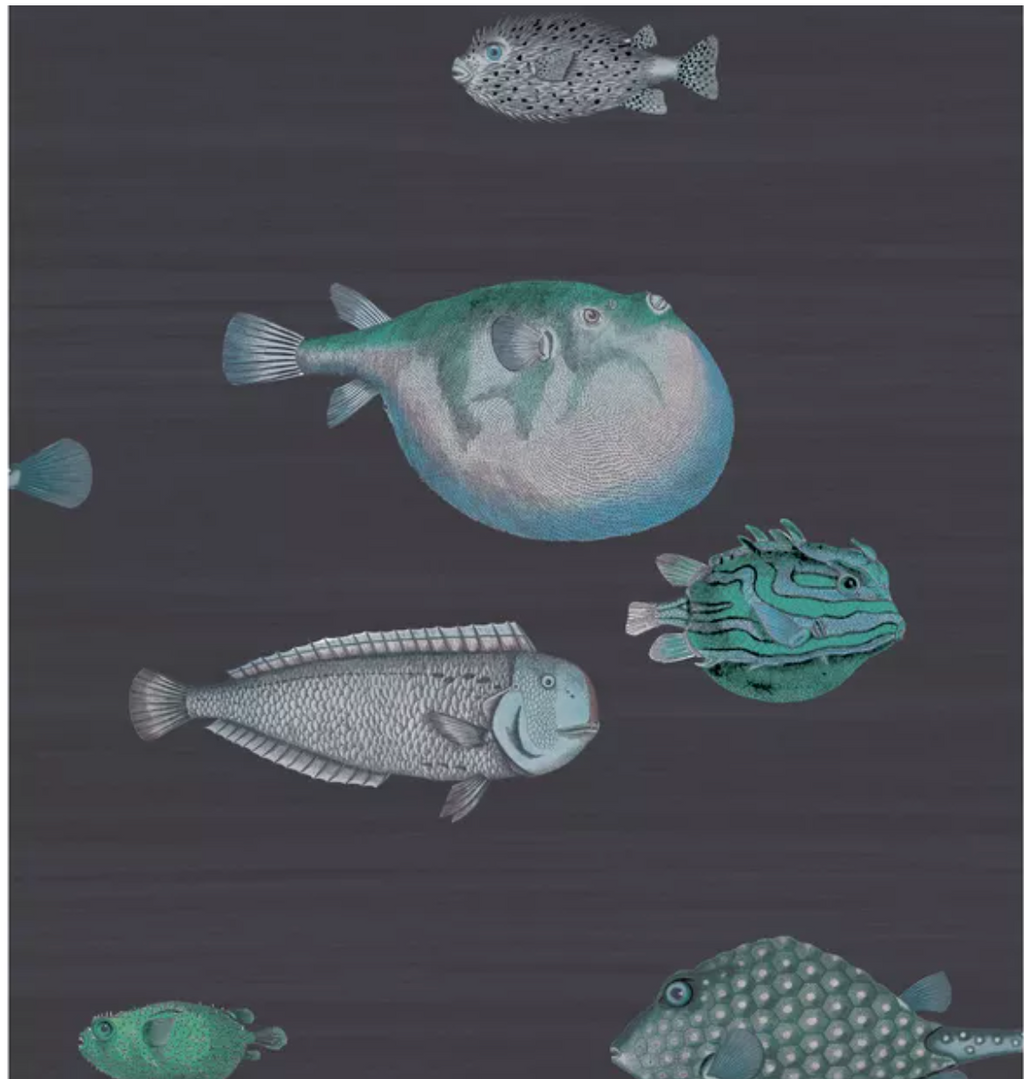 Acquario