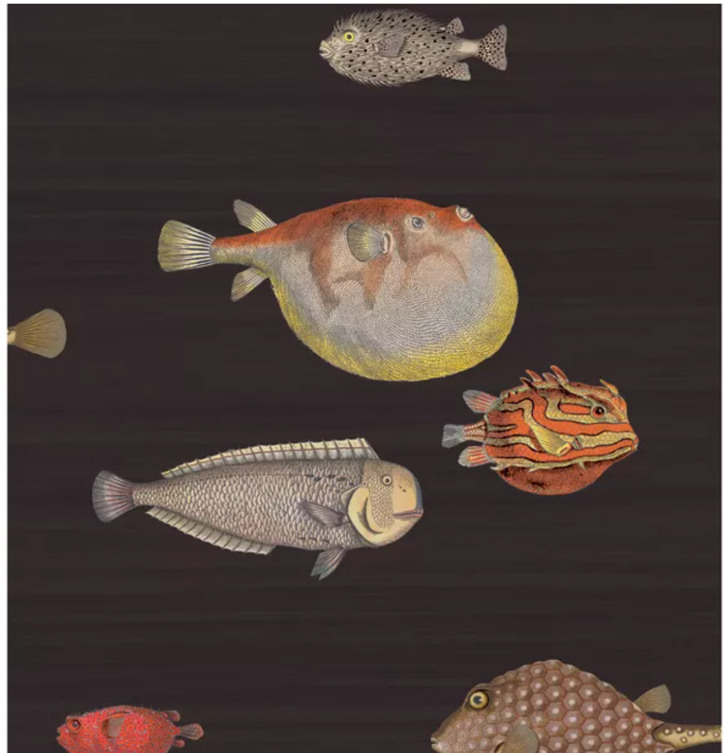 Acquario