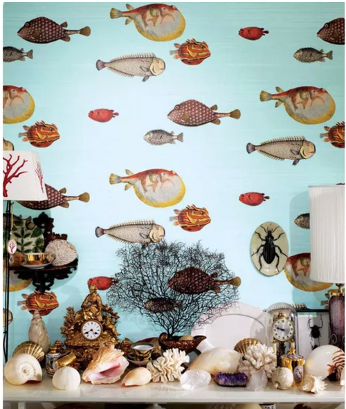 Acquario
