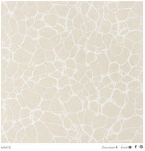 Load image into Gallery viewer, ARMATO WALLPAPER - BEIGE