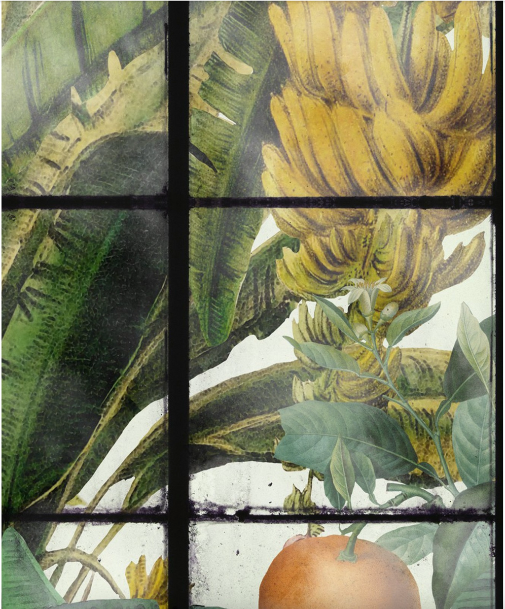 ORANGERIE Wallpaper