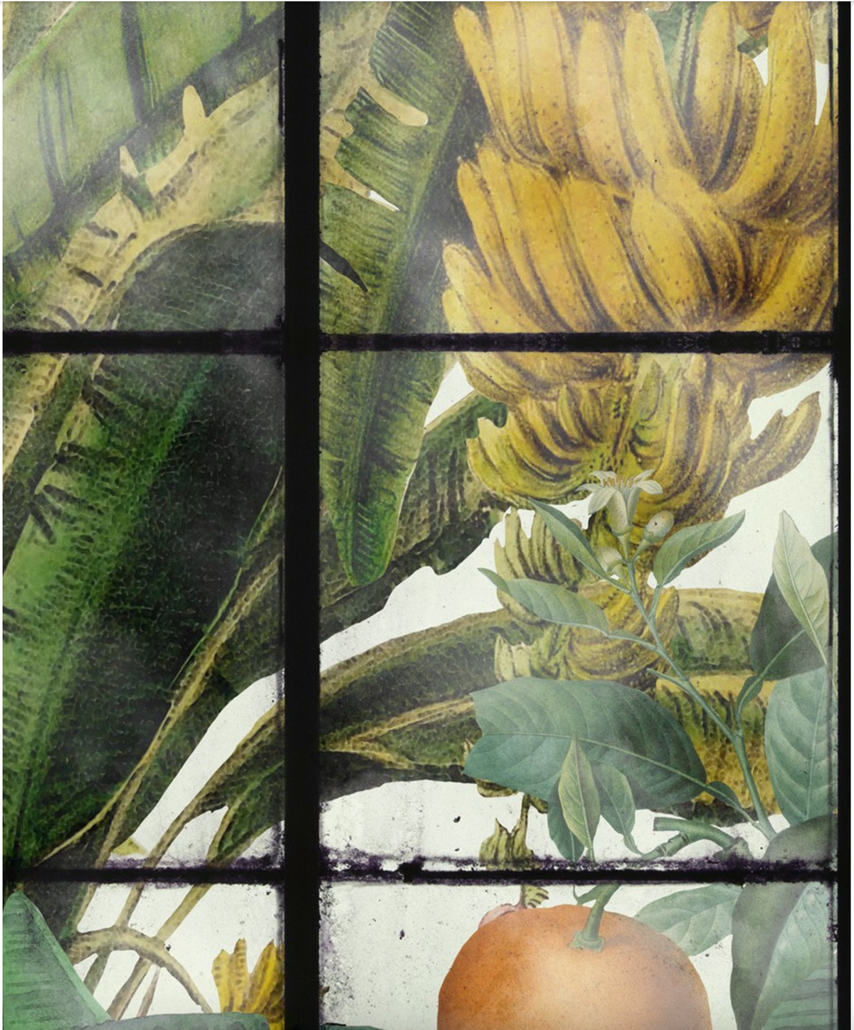 ORANGERIE Wallpaper