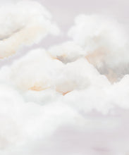 Load image into Gallery viewer, Serenity Mural • Dawn • Swatch