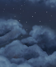 Load image into Gallery viewer, Serenity Mural • Night • Swatch
