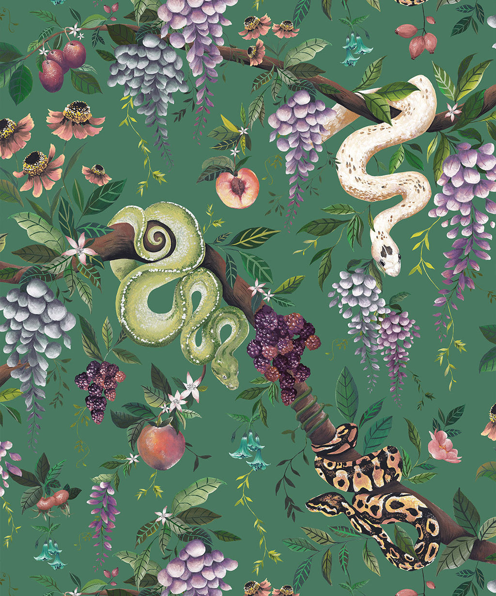 Snake Charmer Wallpaper