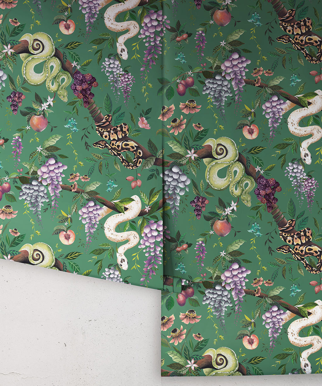 Snake Charmer Wallpaper • Arsenic • Rolls
