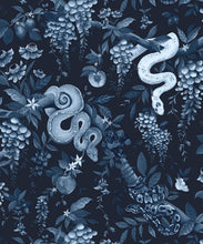 Load image into Gallery viewer, Snake Charmer Wallpaper