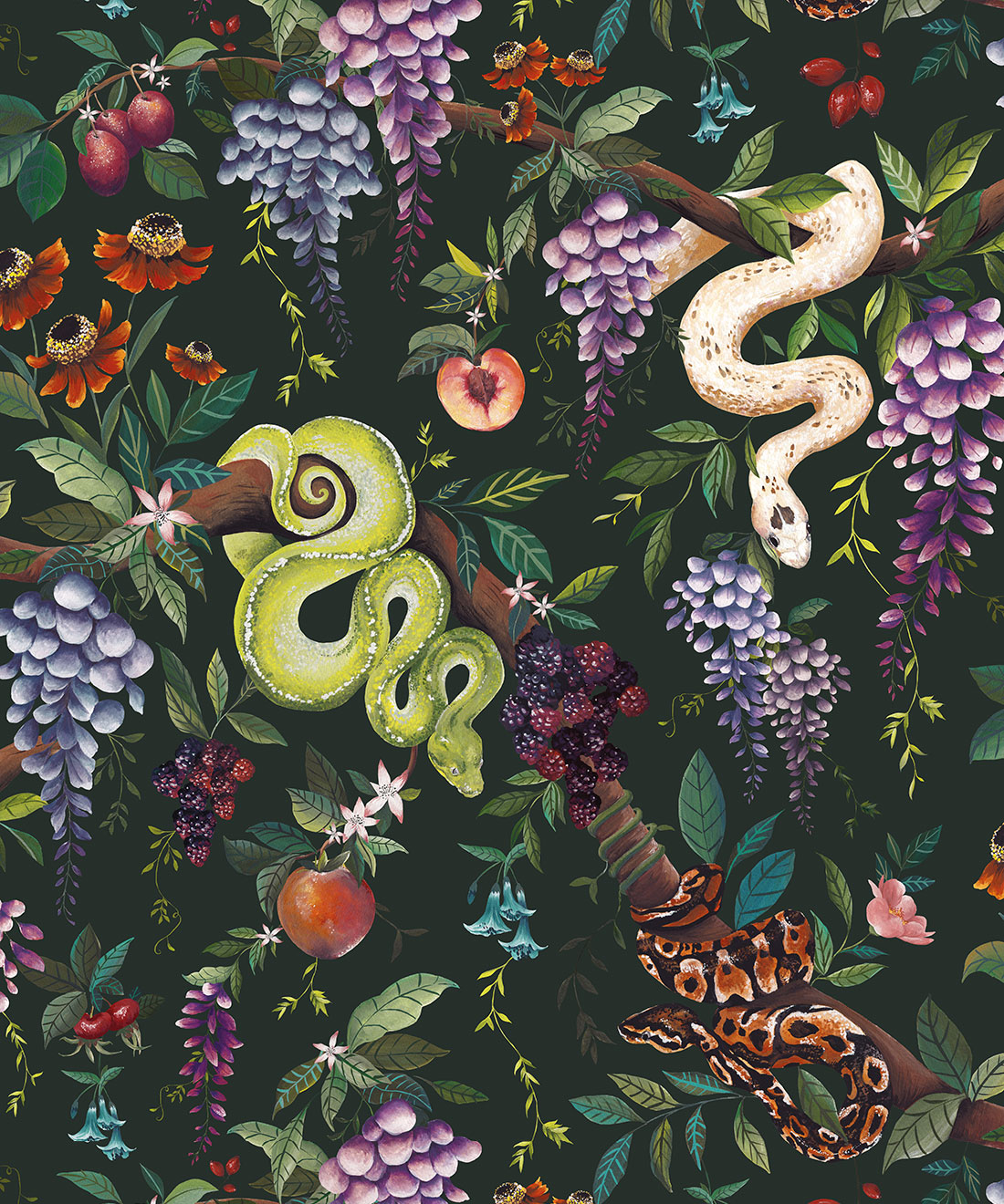 Snake Charmer Wallpaper