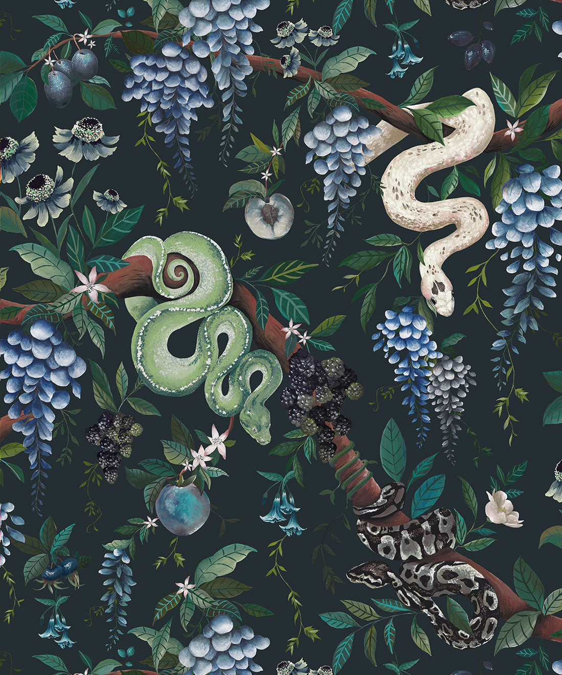 Snake Charmer Wallpaper