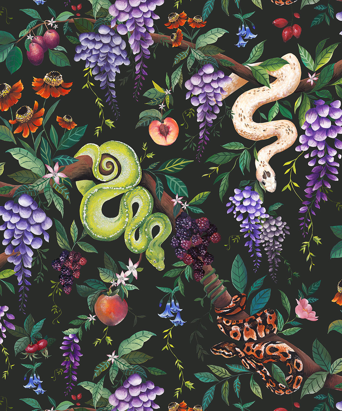 Snake Charmer Wallpaper