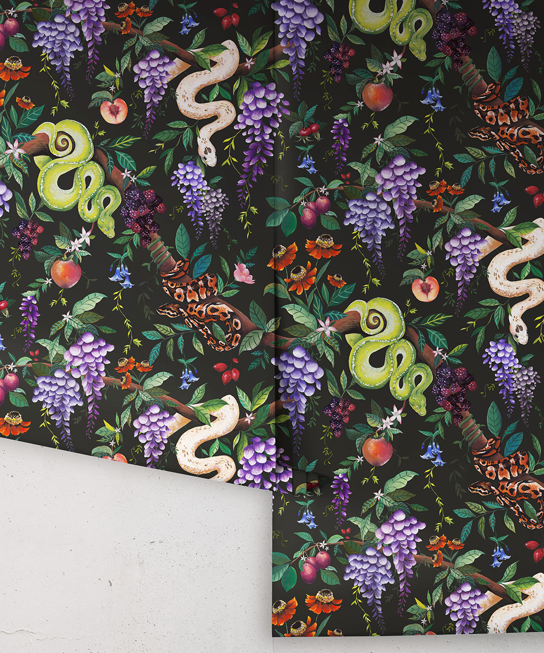 Snake Charmer Wallpaper • Original • Rolls