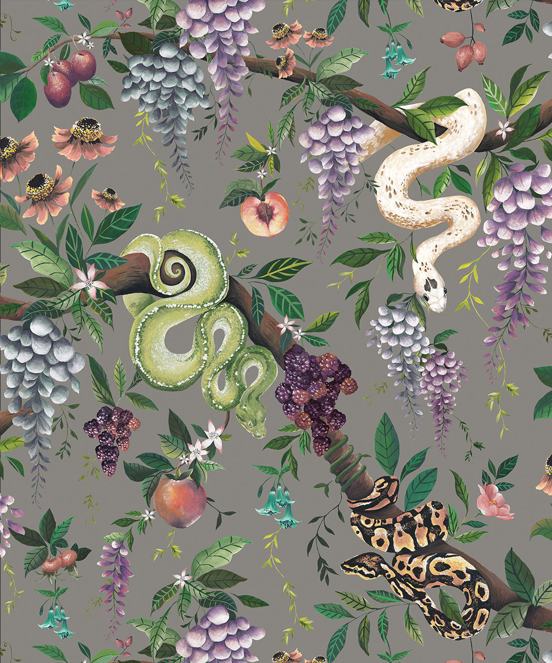 Snake Charmer Wallpaper