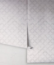 Load image into Gallery viewer, Petales Deux Wallpaper • Grey White • Rolls