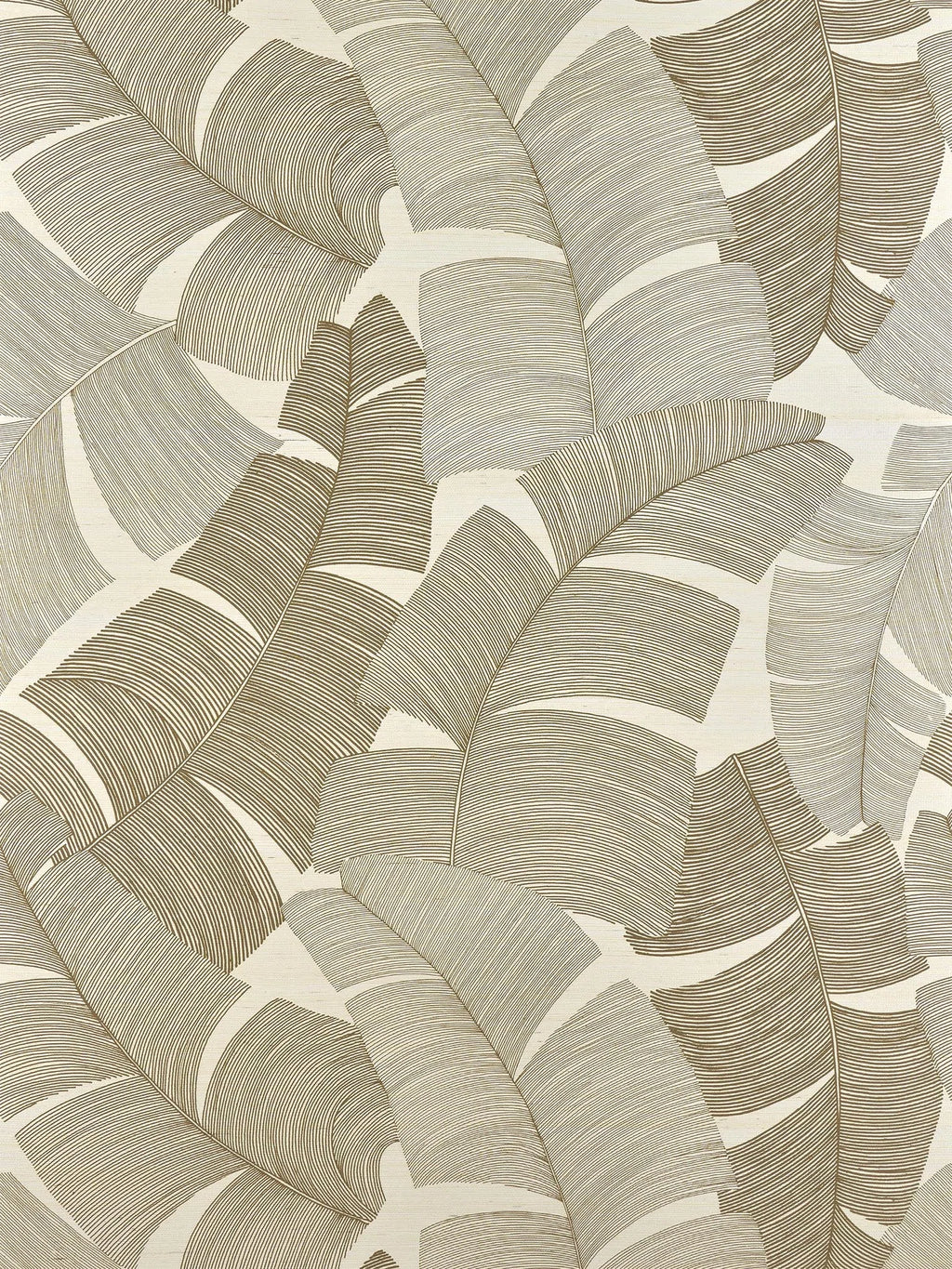 Tikehau wallpaper in Paille