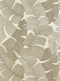 Tikehau wallpaper in Paille