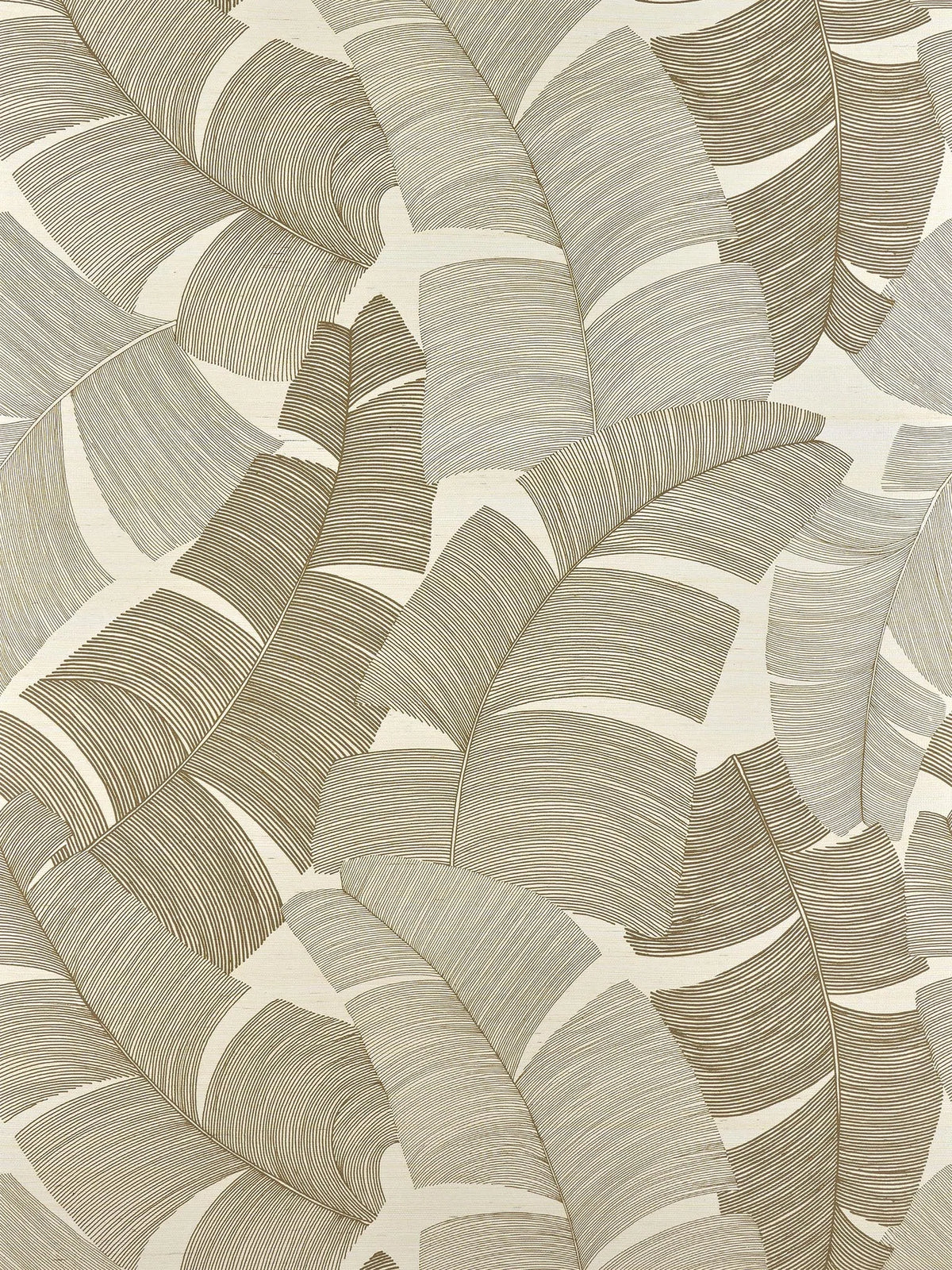 Tikehau wallpaper in Paille
