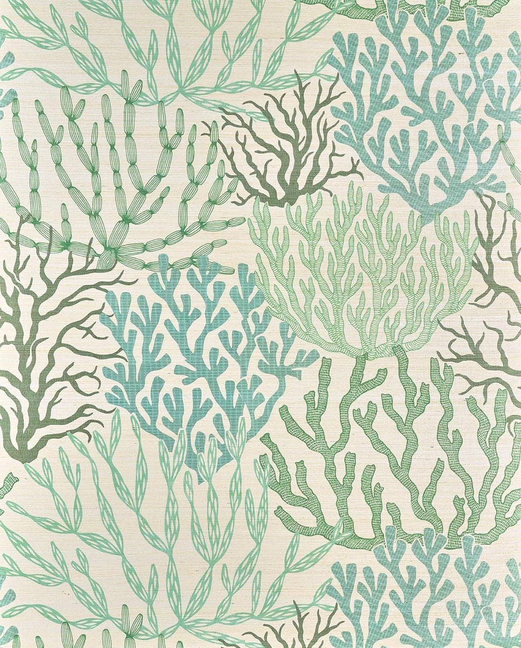Acropora wallpaper in Opale