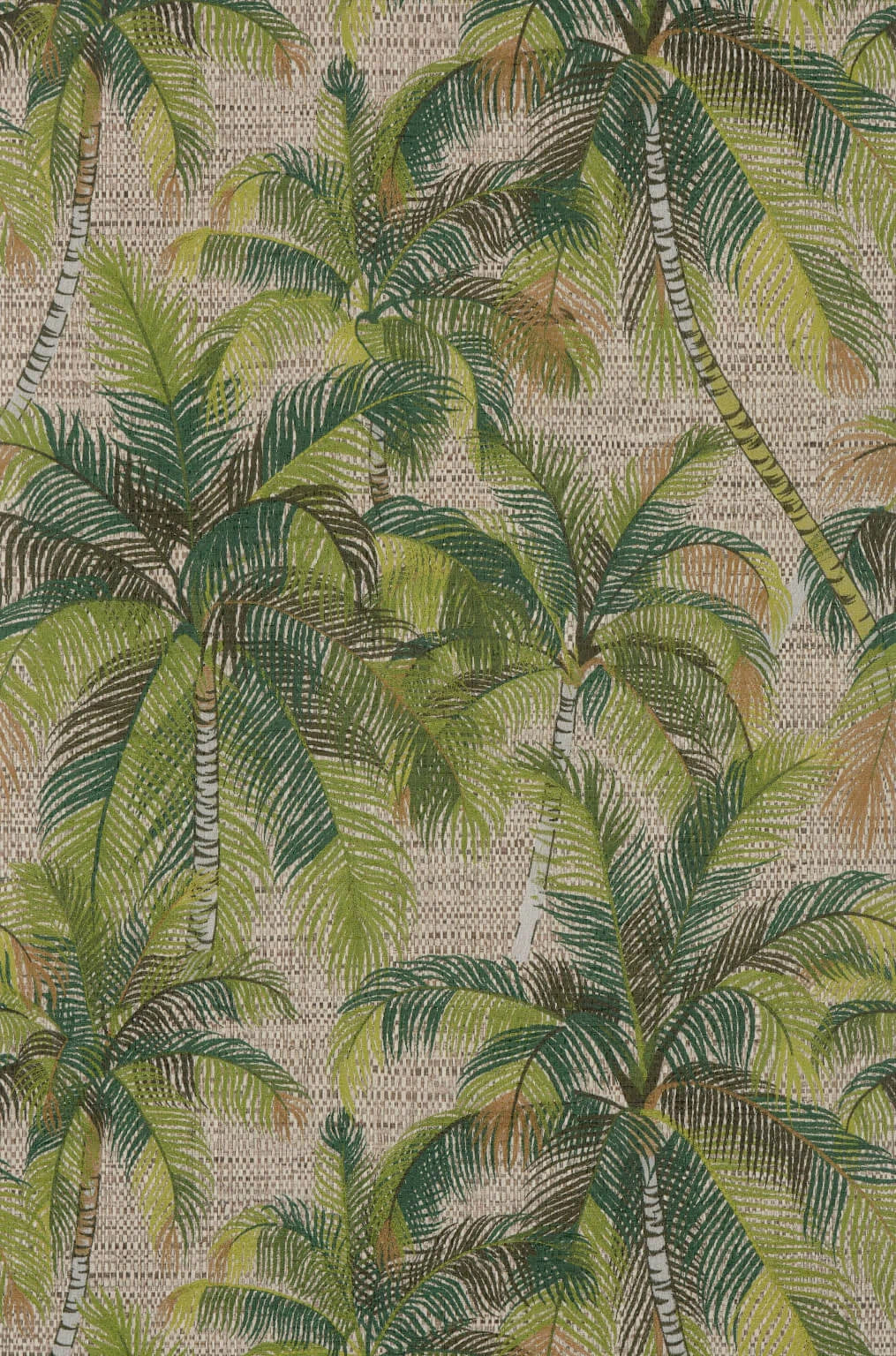 Tampa wallpaper in Jungle