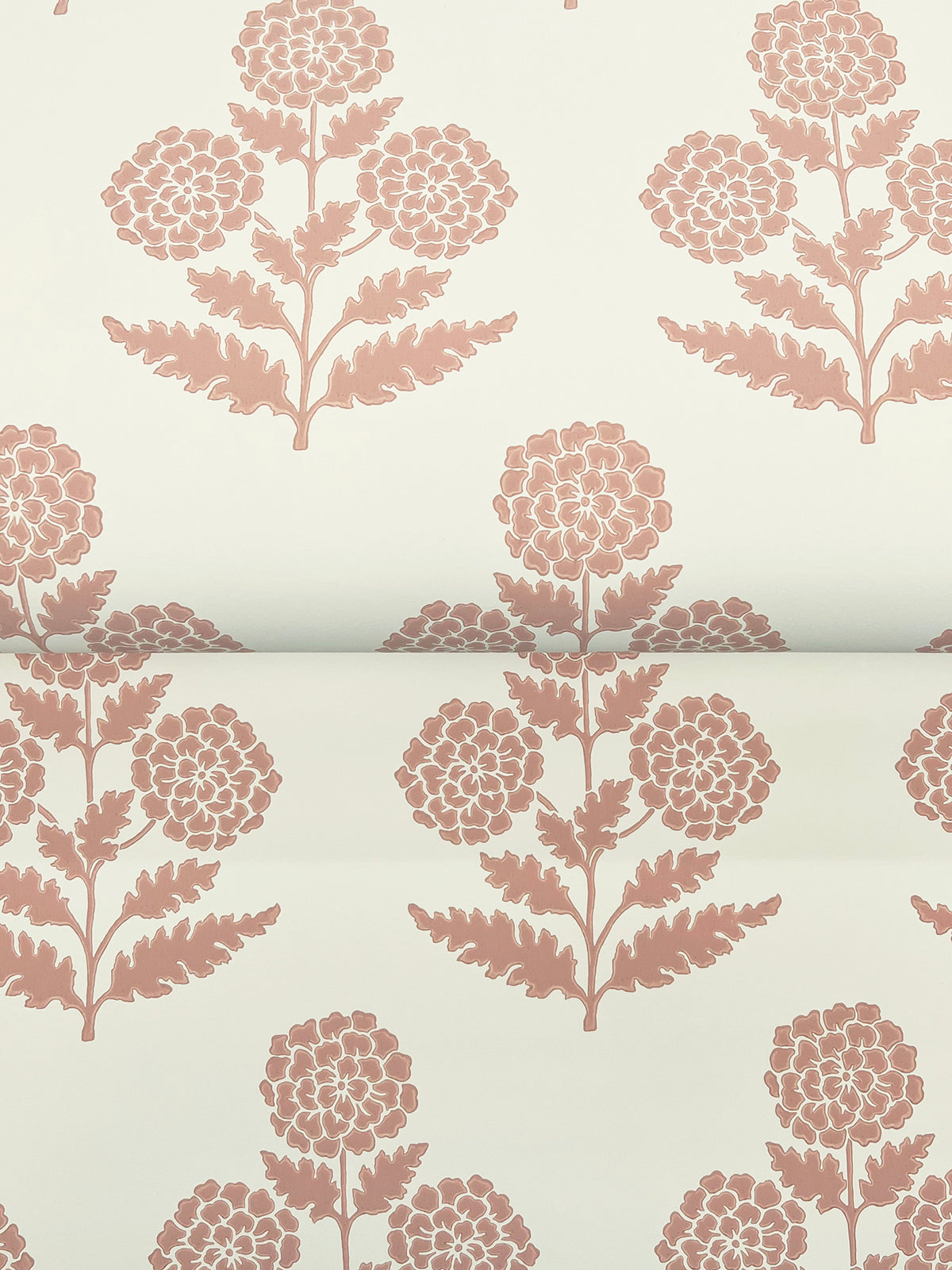 Souci Wallpaper - Rose wallpaper detail