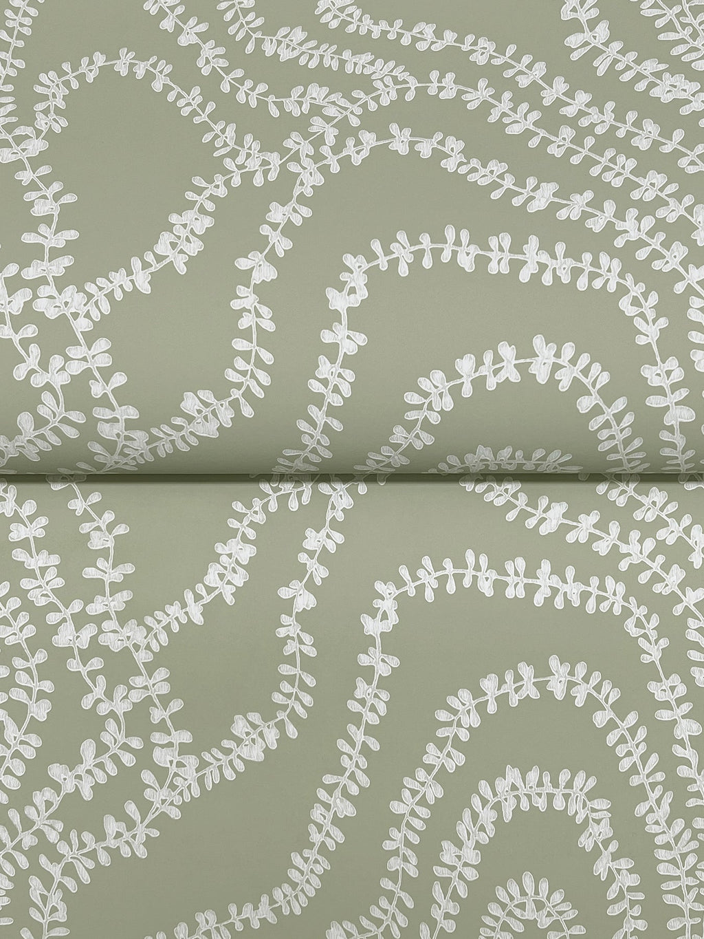 String of Pearls