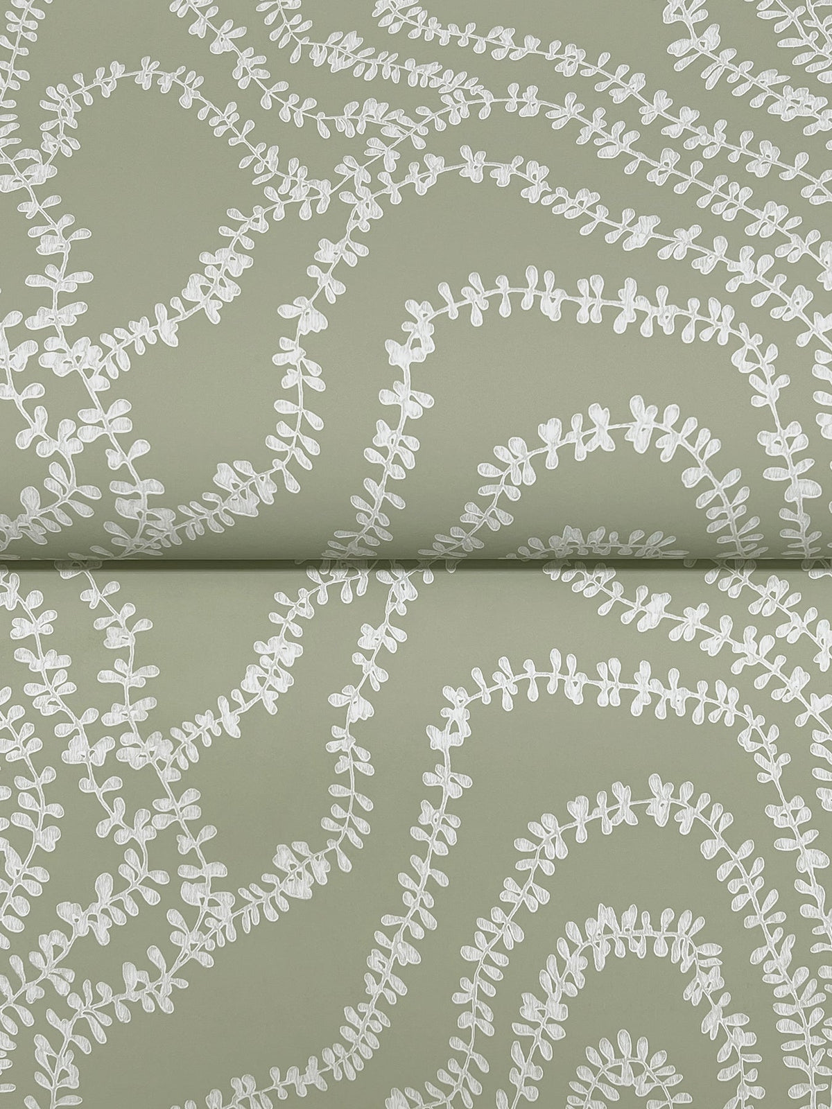 String of Pearls