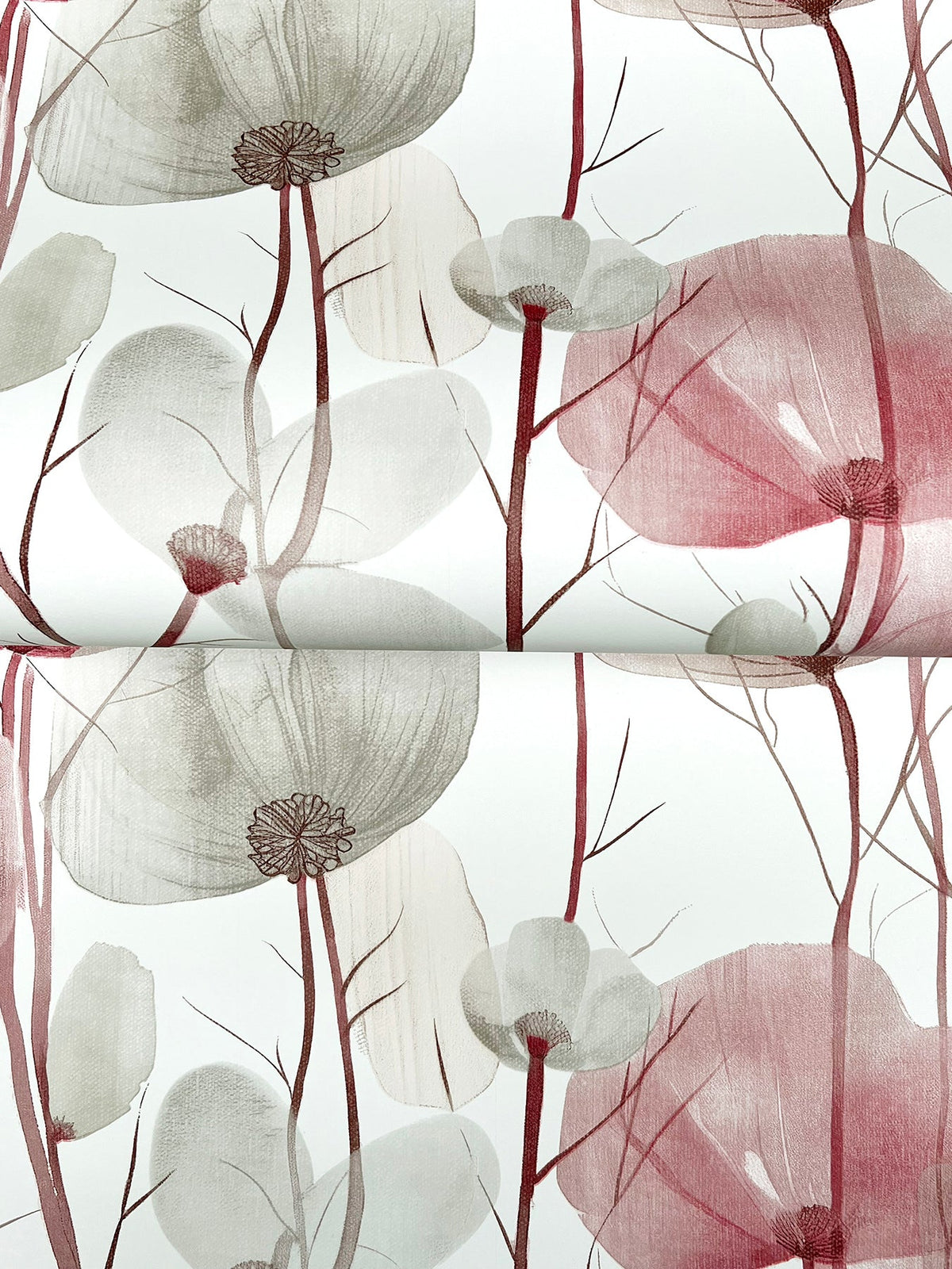 Cotswolds Poppies