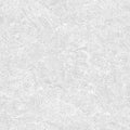 Fern Texture Wallpaper - White pattern