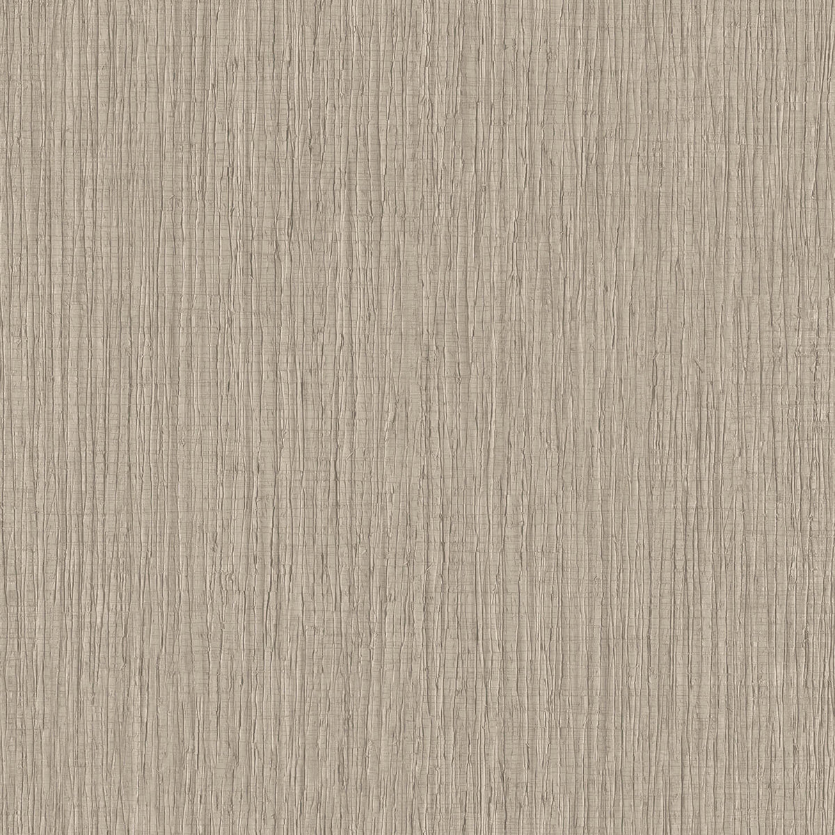 Sienna Strand Texture Wallpaper - Warm Grey pattern