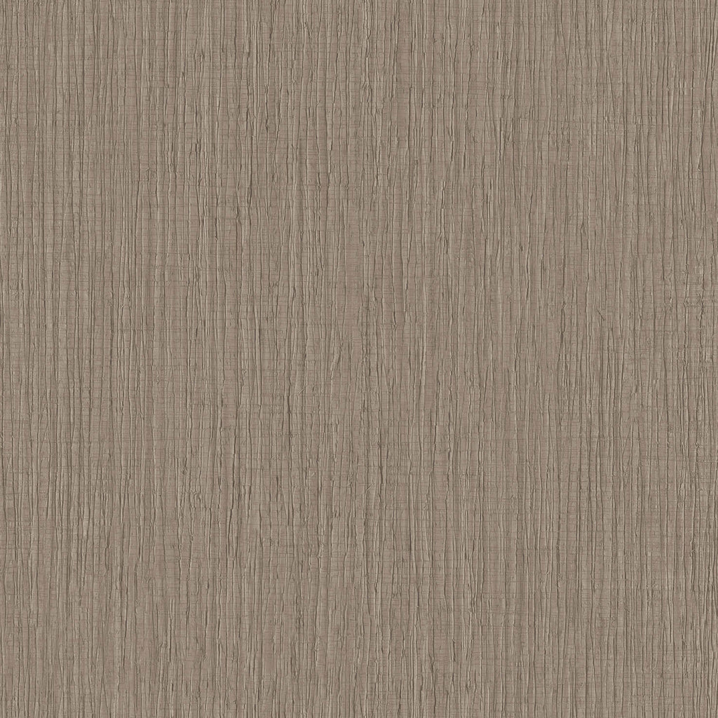 Sienna Strand Texture Wallpaper - Roasted Cashew pattern