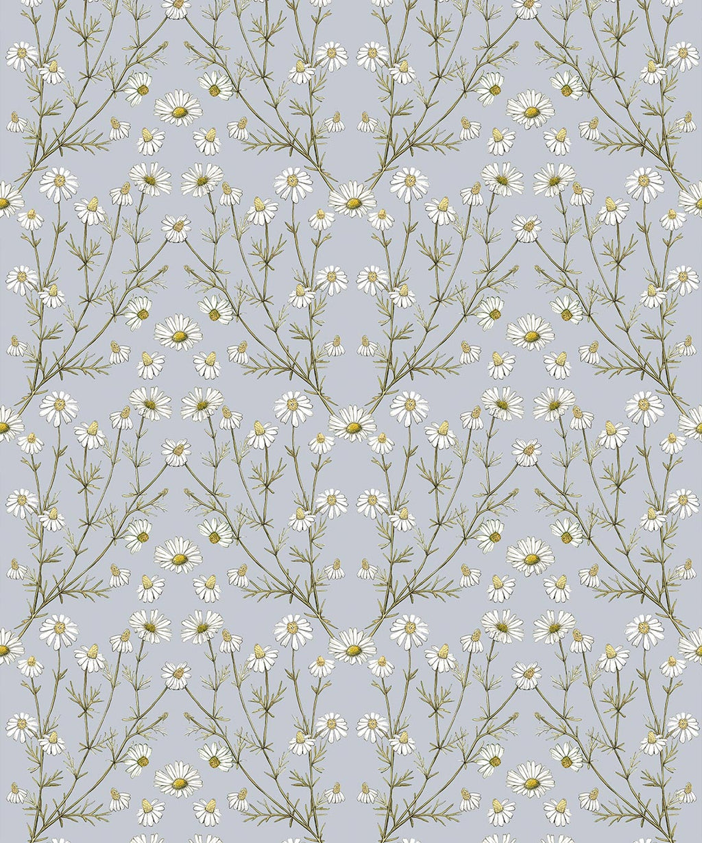 Wallpaper Republic - Floral Emporium Collection - Daisy Damask - Dusty Blue - Swatch
