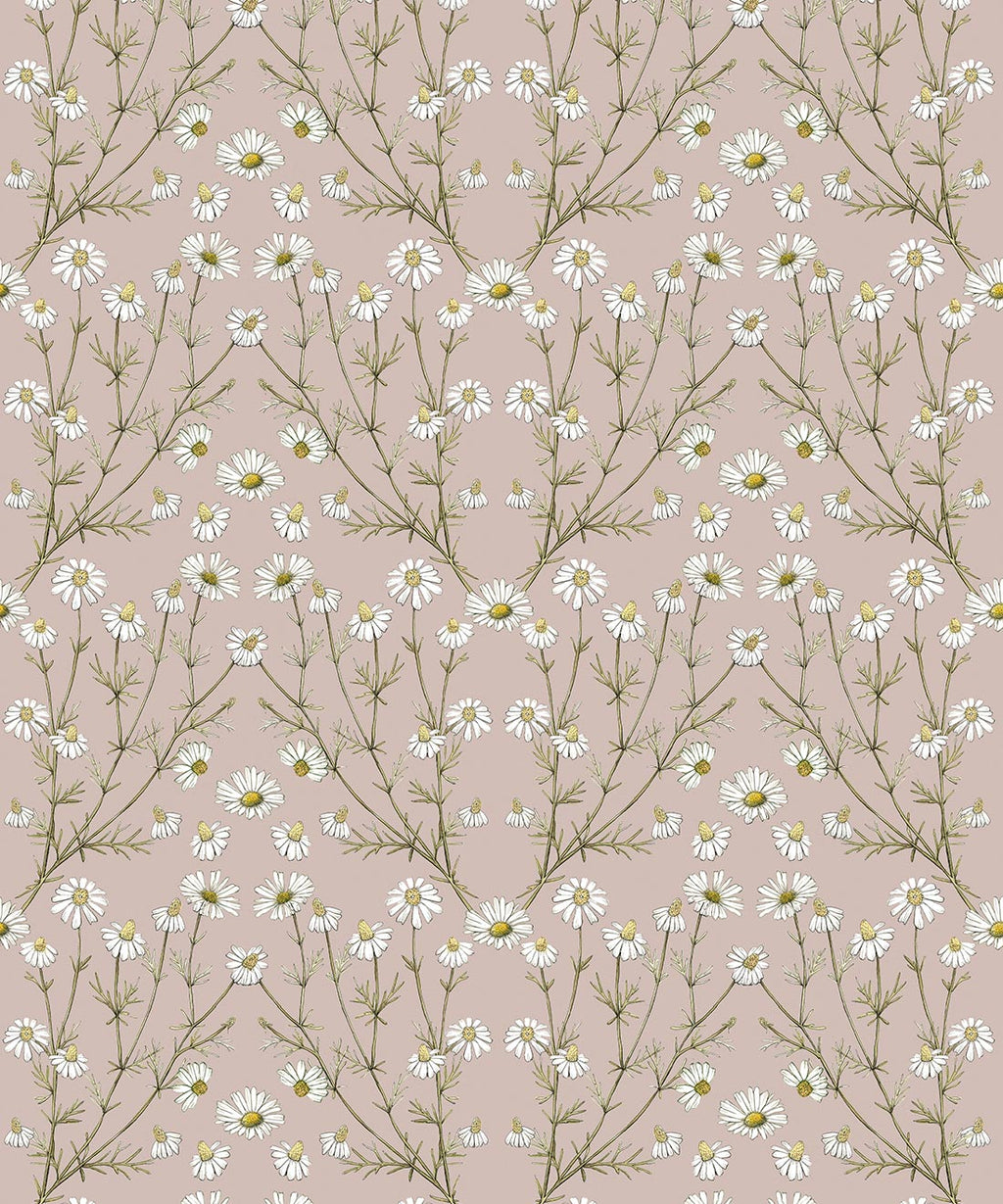 Wallpaper Republic - Floral Emporium Collection - Daisy Damask - Dusty Pink - Swatch