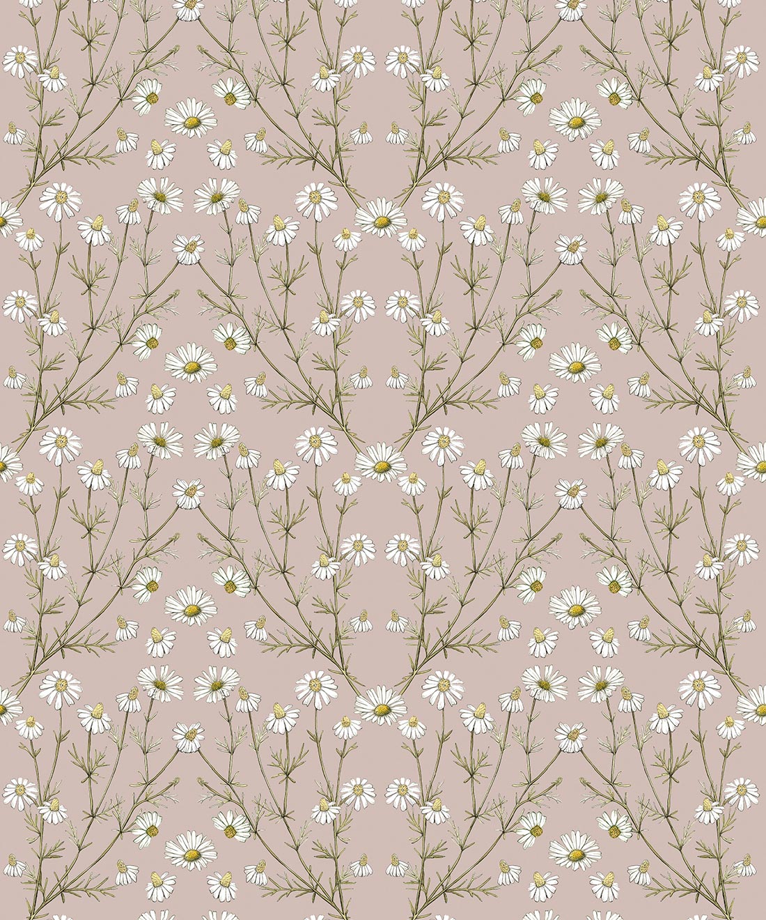 Wallpaper Republic - Floral Emporium Collection - Daisy Damask - Dusty Pink - Swatch