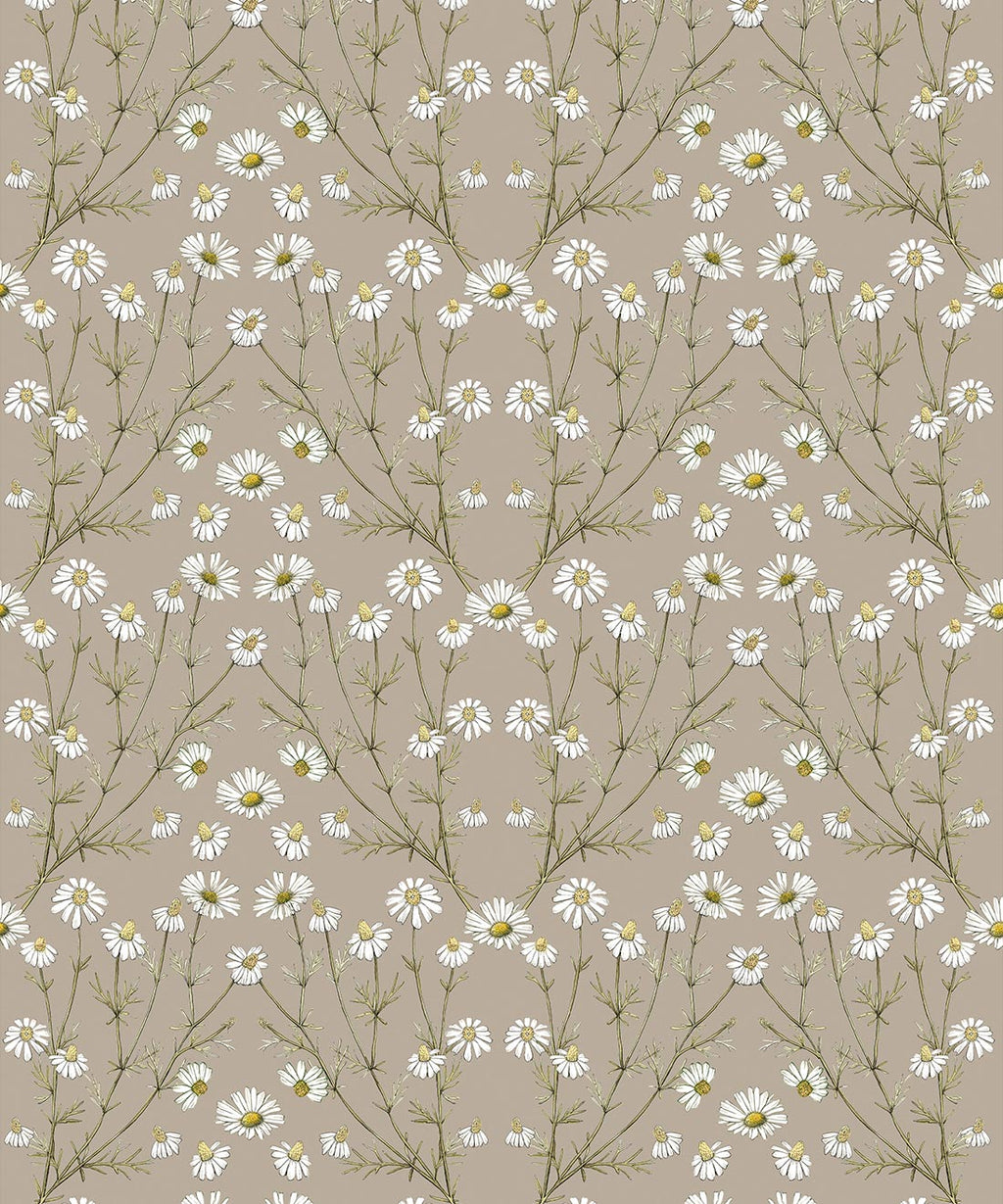 Wallpaper Republic - Floral Emporium Collection - Daisy Damask - Linen - Swatch