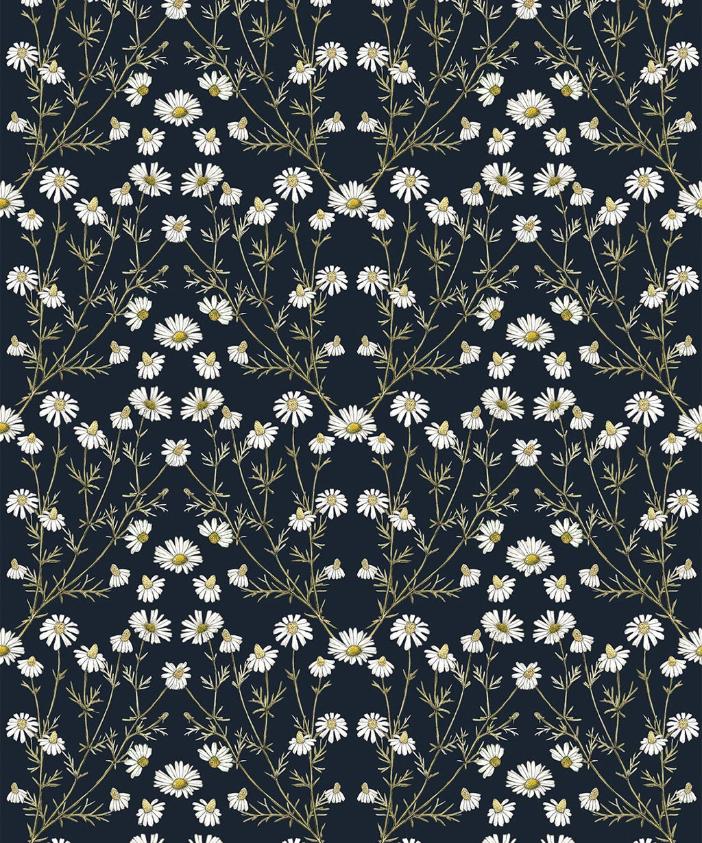 Wallpaper Republic - Floral Emporium Collection - Daisy Damask - Navy - Swatch