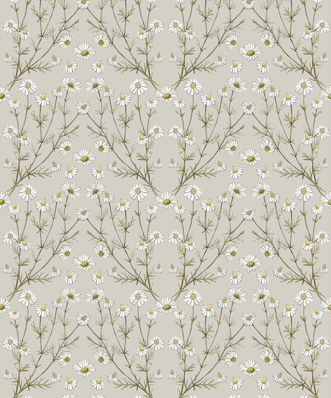 Wallpaper Republic - Floral Emporium Collection - Daisy Damask - Stone - Swatch