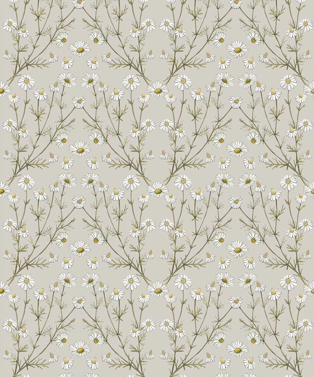 Wallpaper Republic - Floral Emporium Collection - Daisy Damask - Stone - Swatch