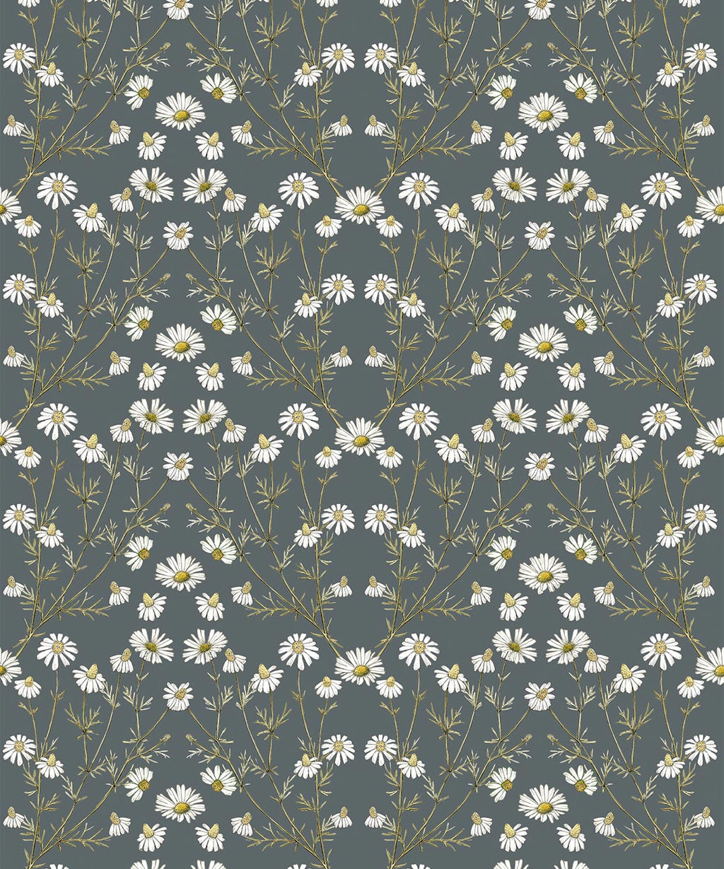 Wallpaper Republic - Floral Emporium Collection - Daisy Damask - Slate Grey - Swatch