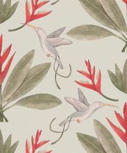 Load image into Gallery viewer, Hummingbirds &amp; Heliconias Wallpaper • Allira Tee • Bird Wallpaper • Beige • Swatch