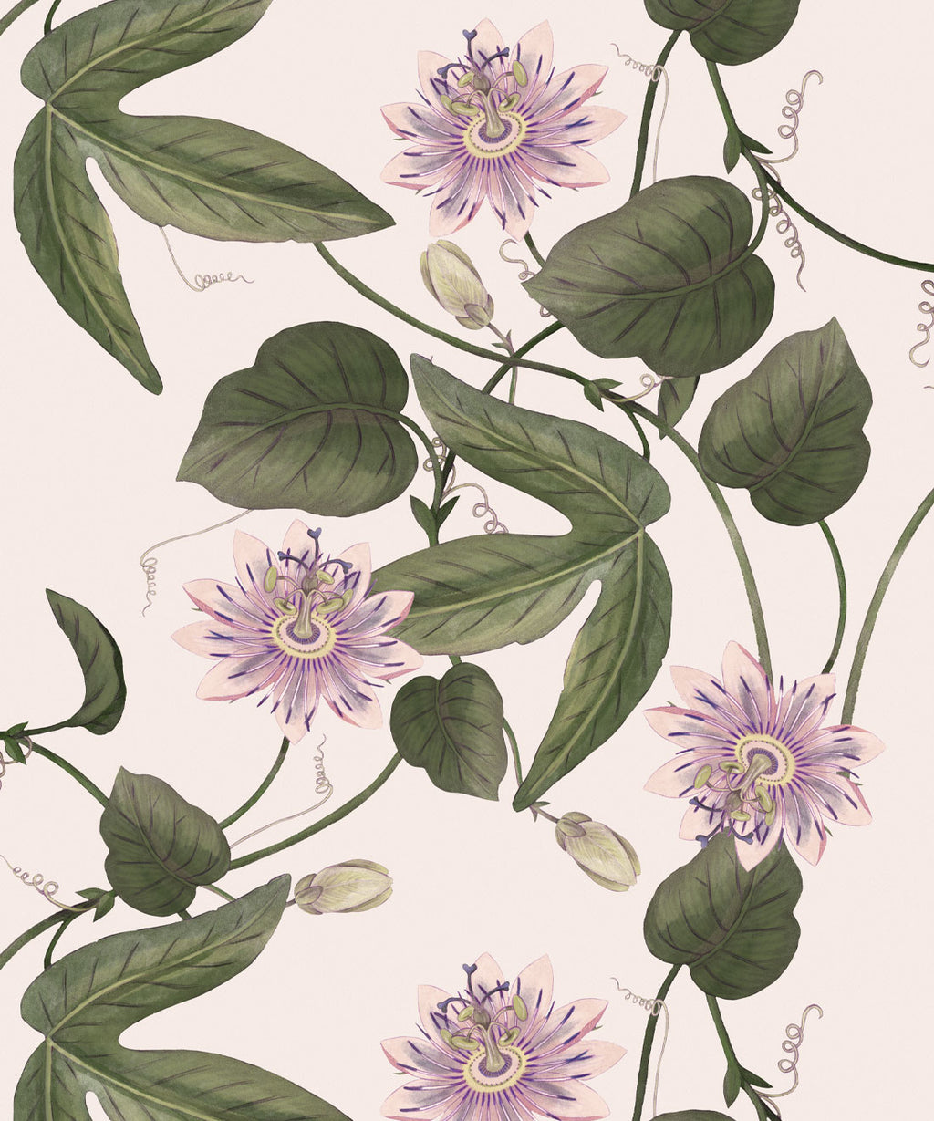 Passiflora Wallpaper