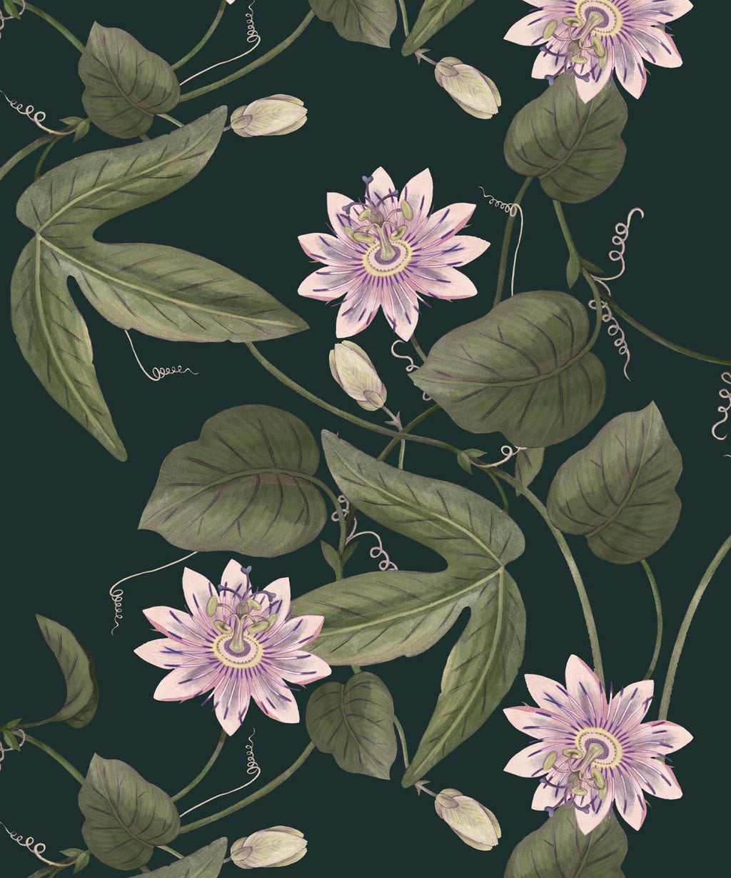 Passiflora Wallpaper