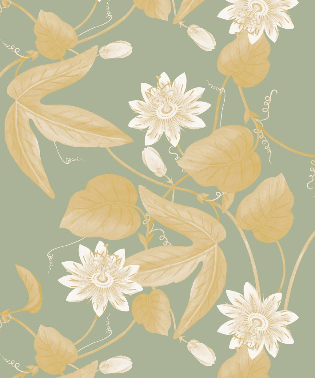 Passiflora Wallpaper