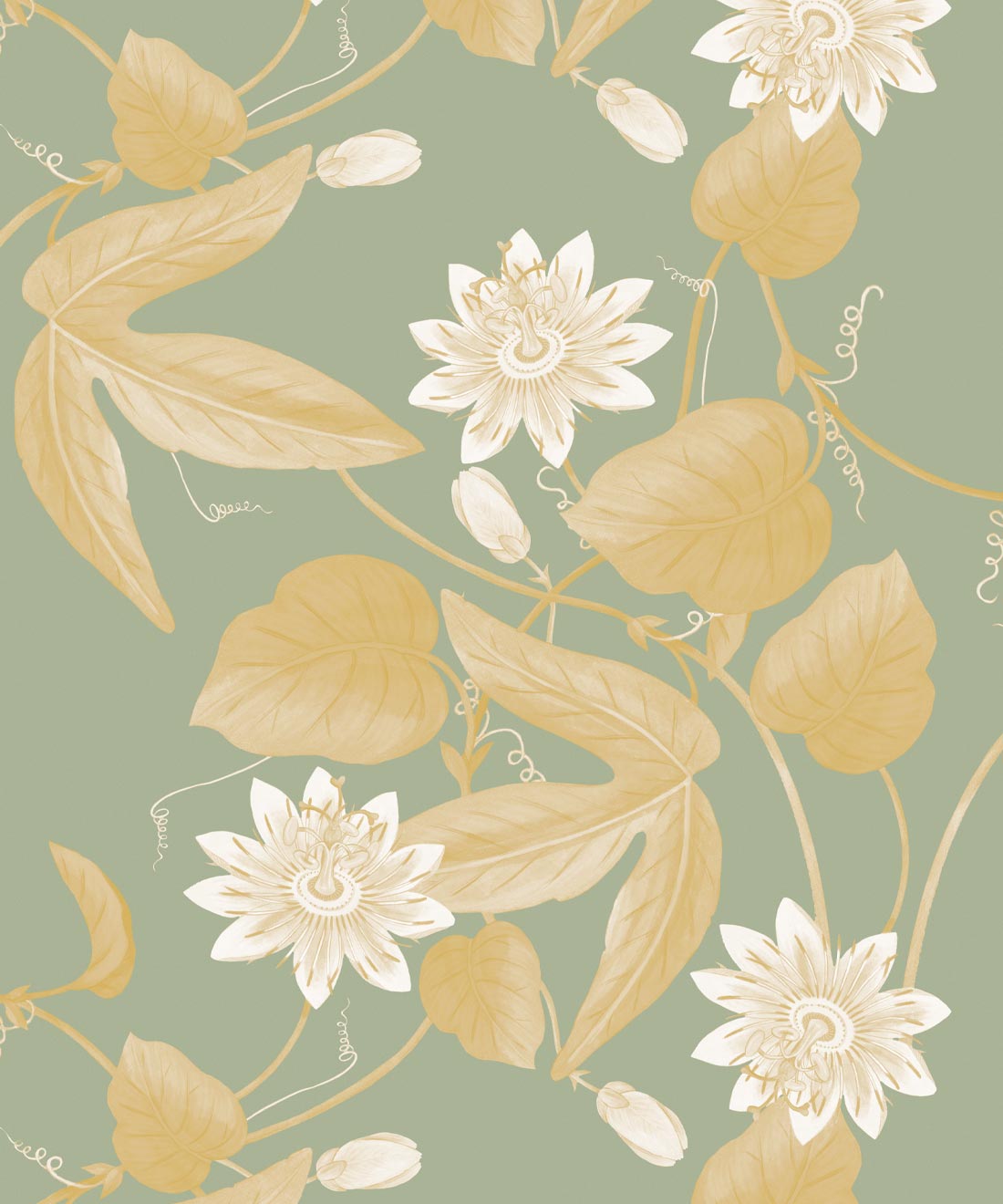 Passiflora Wallpaper