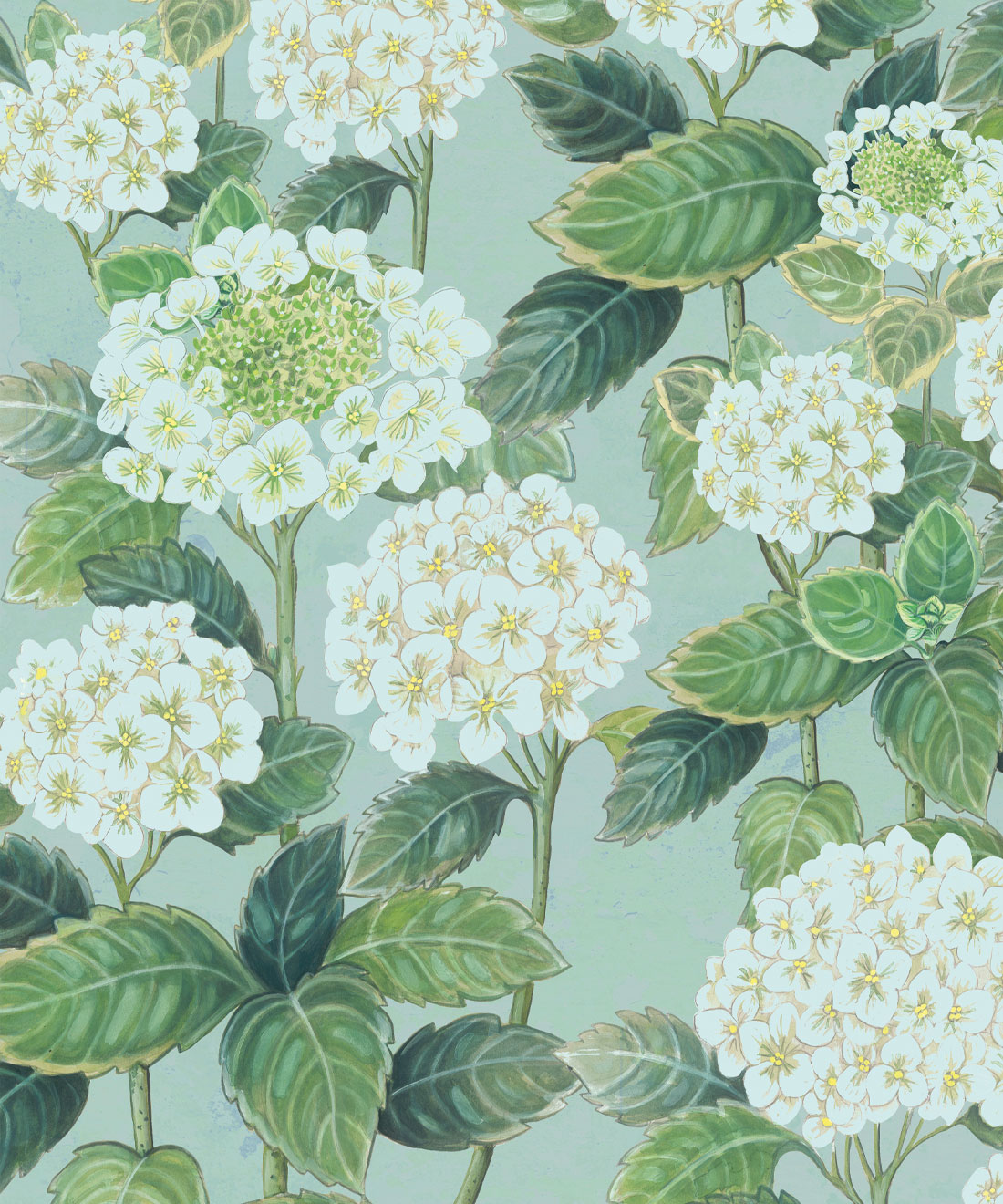 Hydrangea Garden Wallpaper