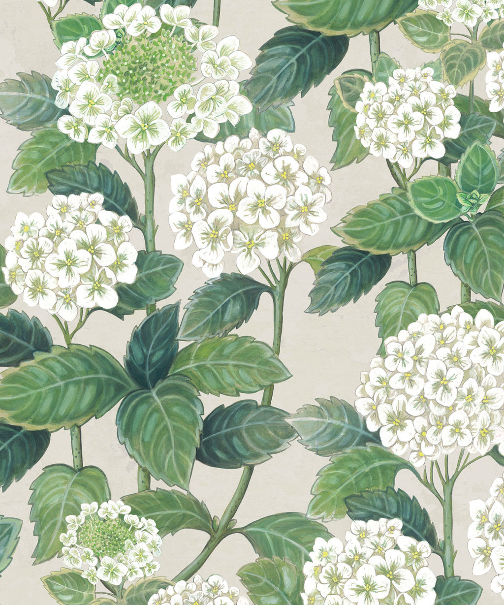 Hydrangea Garden Wallpaper