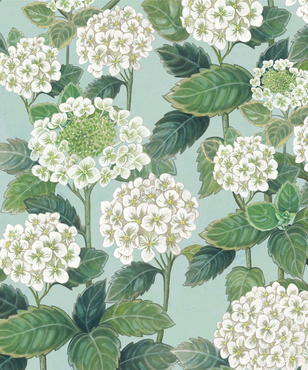 Hydrangea Garden Wallpaper