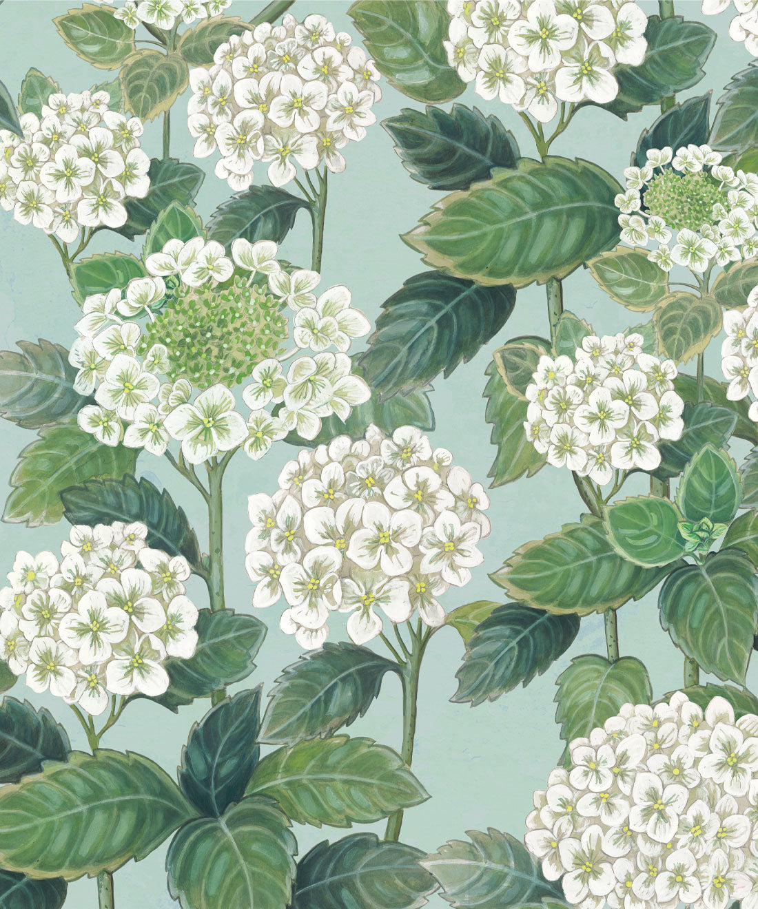 Hydrangea Garden Wallpaper