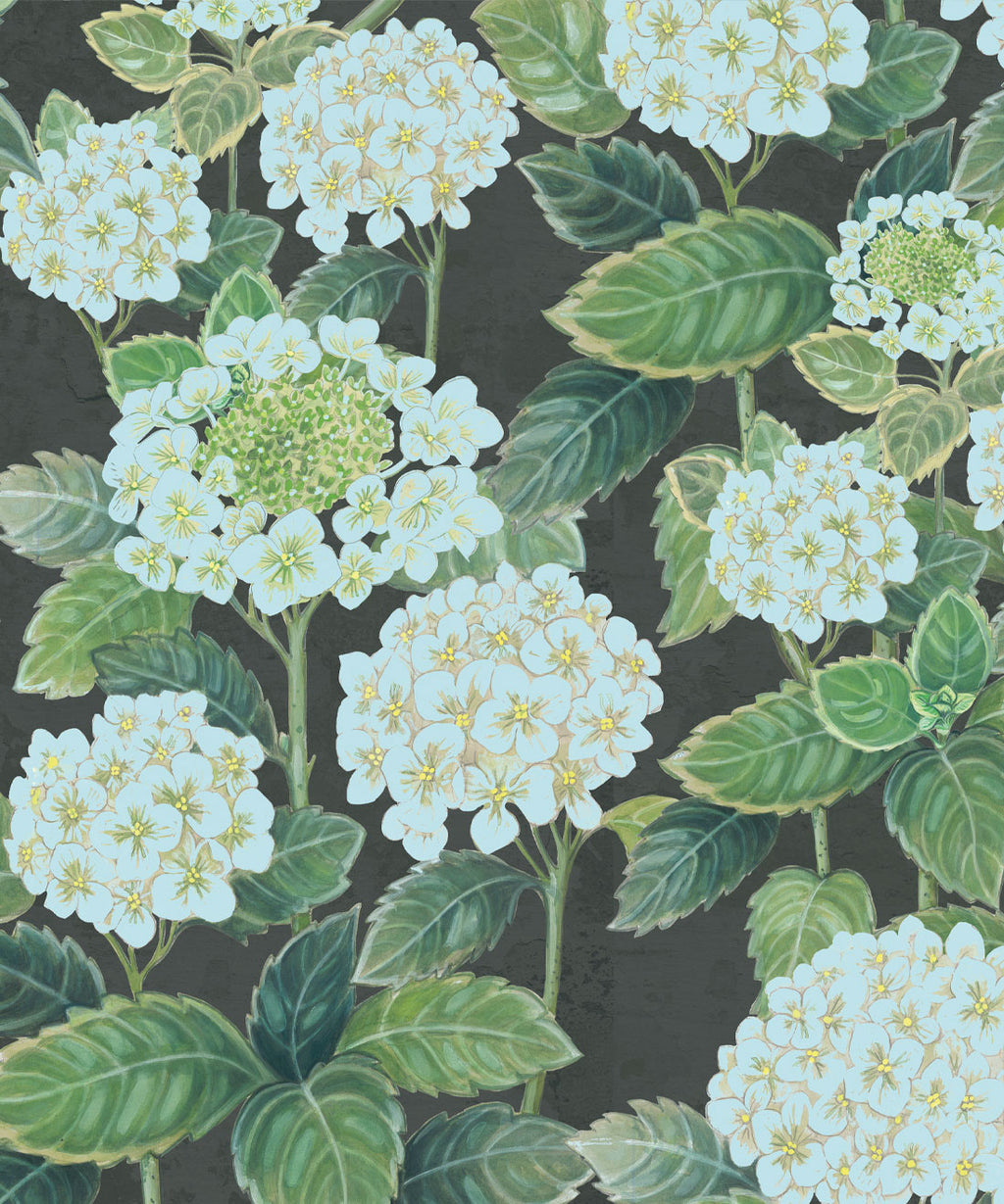 Hydrangea Garden Wallpaper