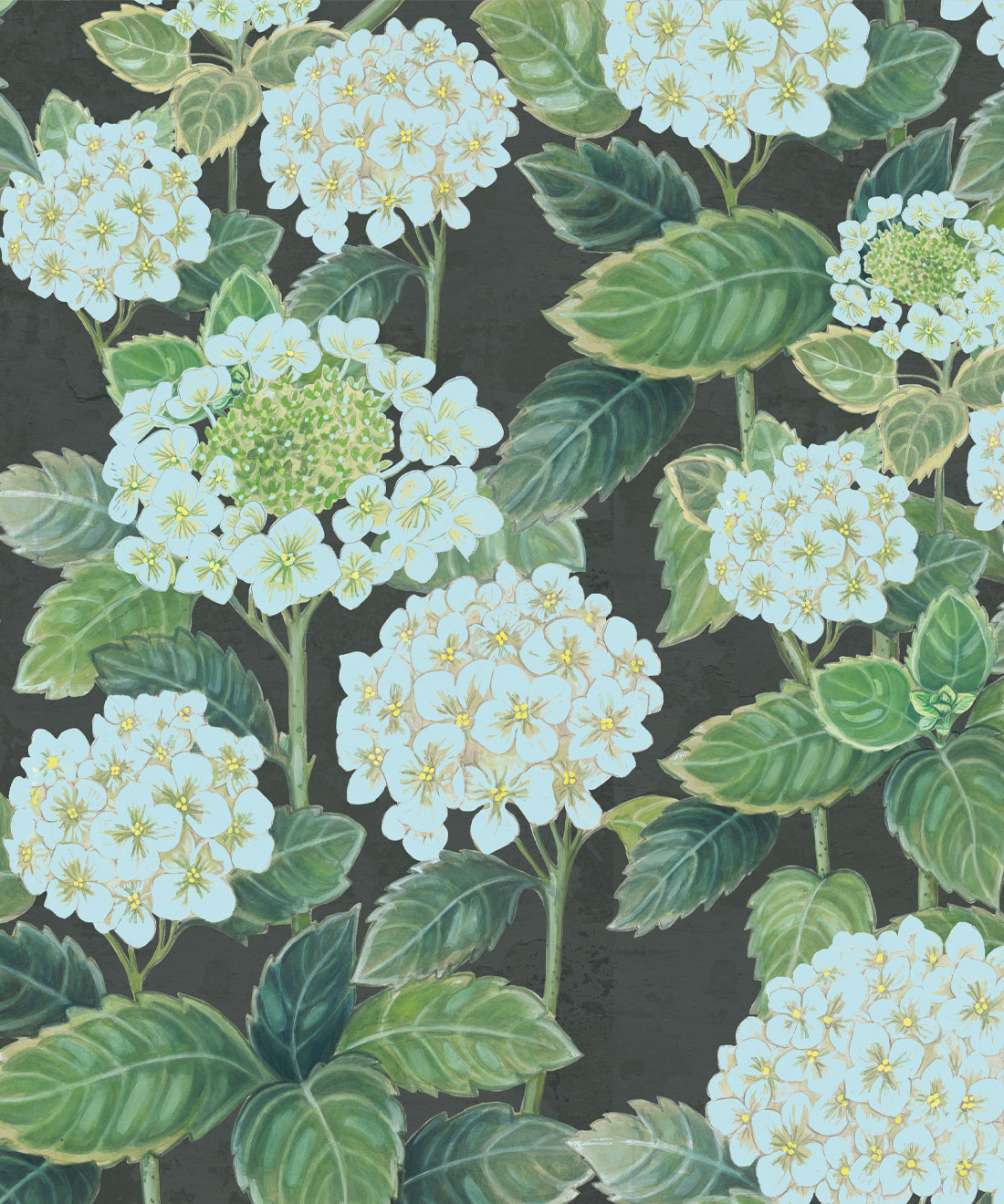 Hydrangea Garden Wallpaper